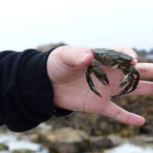 pêche 2